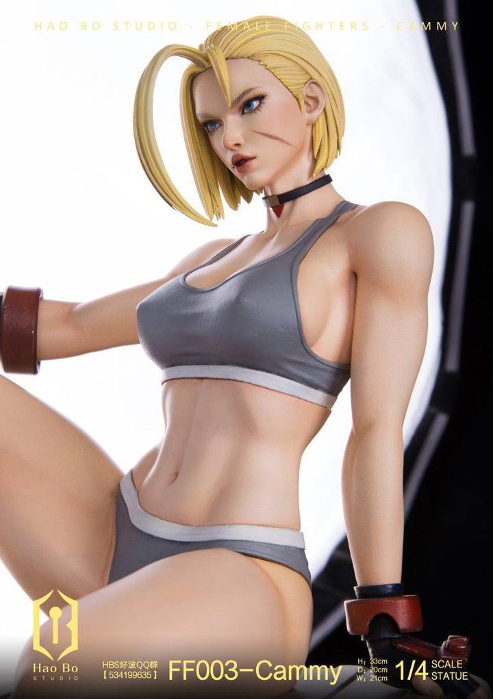 cammy nude anime figure