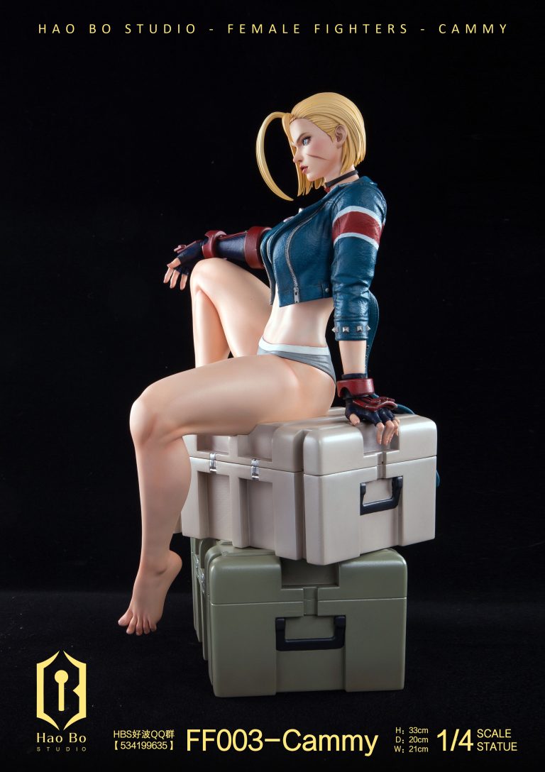 Cammy figure