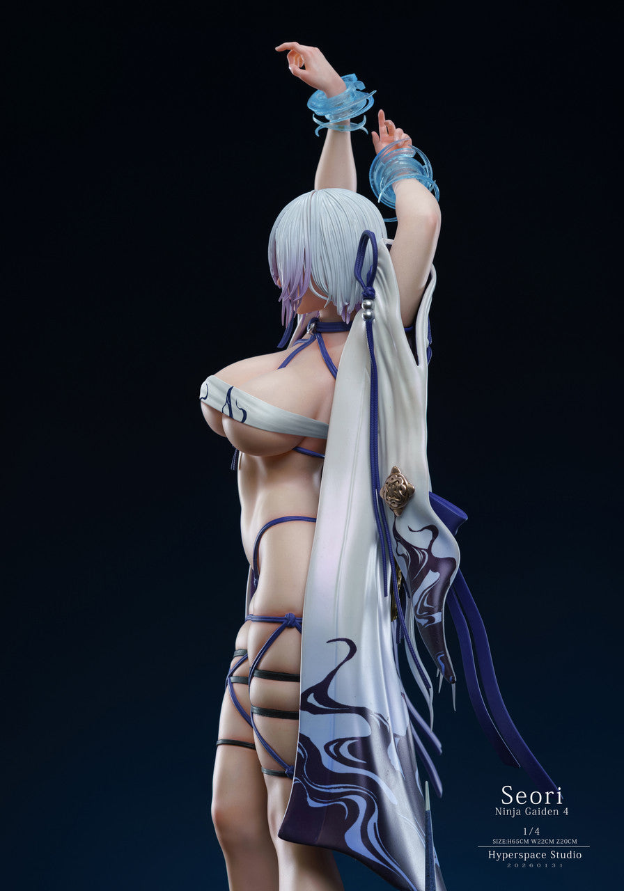 Ninja Gaiden 4: Seori hentai figure