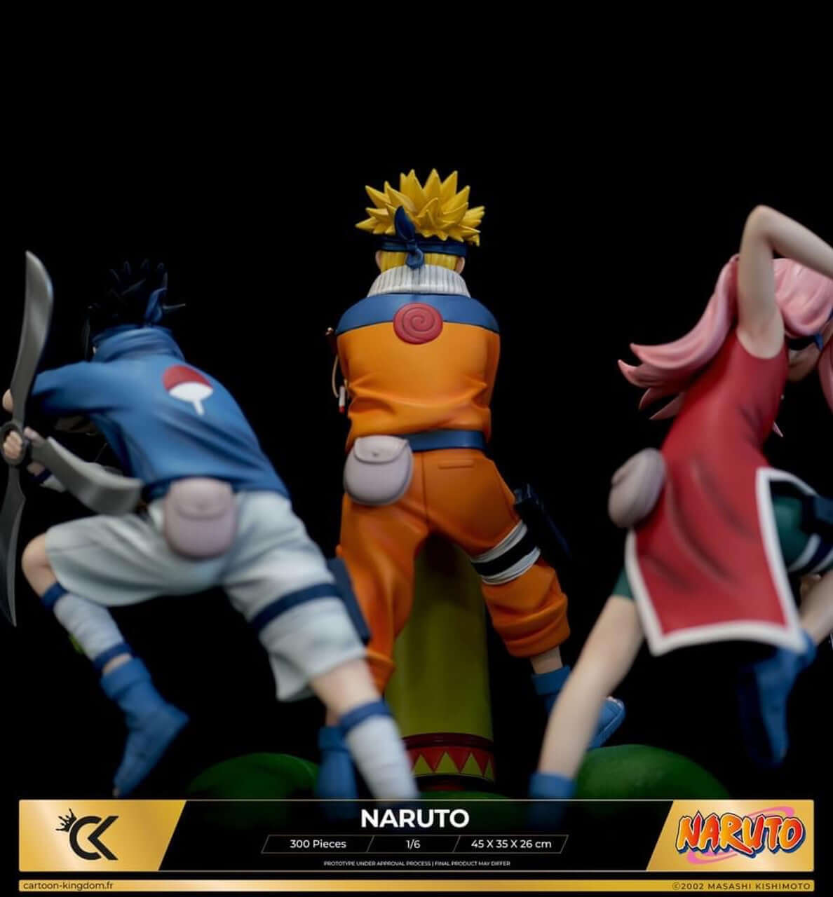 naruto figure back