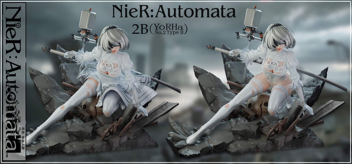 nier figure 2b