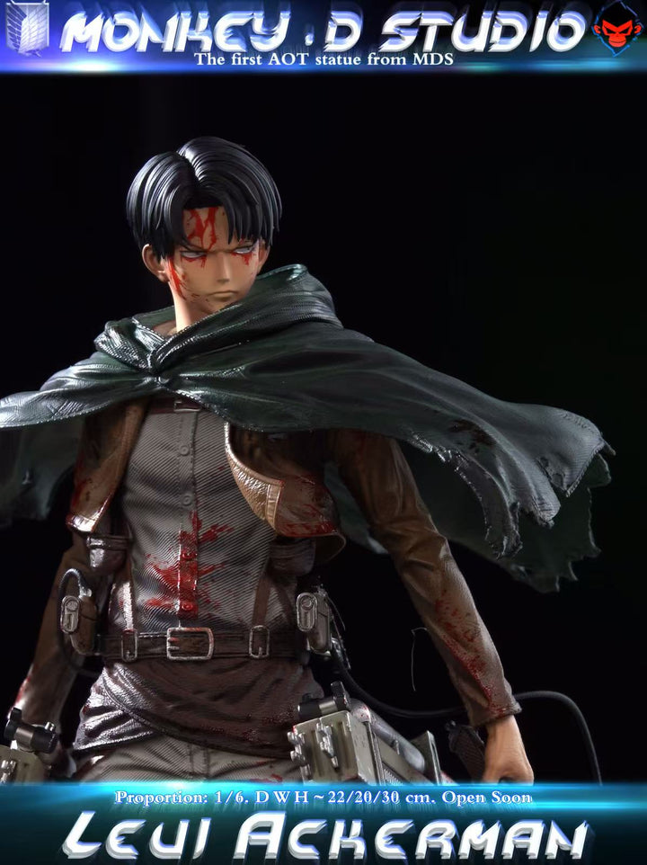 Attack on Titan Levi Ackerman figure