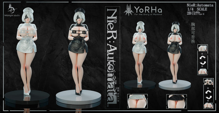 2b nurse figure details