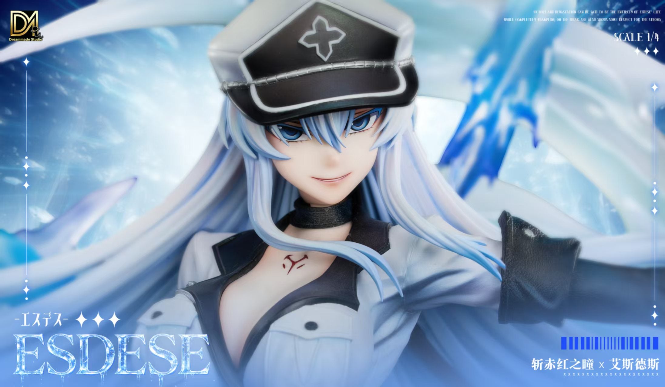 Akame ga Kill! Esdeath anime figure