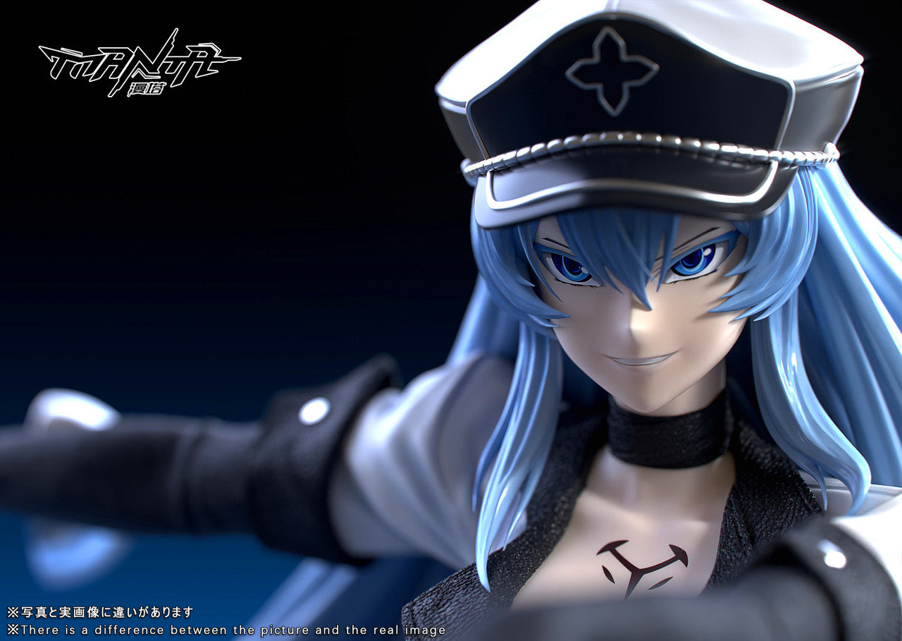 [Pre-order]  1/6 Esdeath LED - Manta Studio